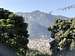 Jamacho Peak from Swayambhunath.