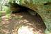 Wildcat Mound Shallow Cave