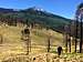 View of Humphreys Peak while starting the hike up White Horse Hills - West Peak