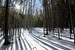 Payne Gulch Trail - early winter