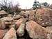 Boulder field