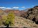 Below Garden Creek Canyon