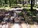 Strzelin forests 17 – Forest vehicles…