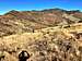 View to Diamond Mountain from Black Mesa South