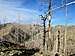 Buck Mountain from Telephone Canyon Trail