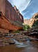 Lower part of Coyote Gulch