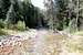 Avalanche Creek Trail No 1959