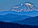 Zoomed view of Mt. Rainier from the summit of Table Mountain
