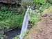 Ecola Falls, Larch Mountain Trail, Multnomah Creek