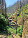 Eagle Creek Canyon