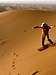 Sandboarding in the Sahara