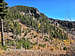 Chiricahua Peak, southwestern face