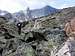 Rough Terrain below Avalanche Lake