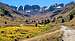 American Basin in late September