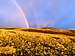 Below Piute Mountain after some rain