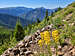 Wheeler and Lake Fork Peaks plus Vallecito Mountain and Taos Valley ski runs