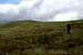 Tom Buidhe (957m), Cairngorms