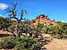 Near the summit of Fruita Benchmark