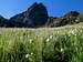 Cutthroat Peak from the north...