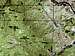 This is a topographic map of...