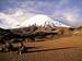 parinacota seen from the...