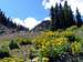 View of Kachina Peak from...