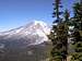 South side of Rainier from...