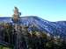 East San Bernardino Peak as...