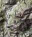 Topo map of northern and...