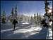 A winter scene from Plesivec