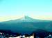 Mt. Adams from Rainier,...
