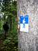 Trail Sign - Laurentian Trail