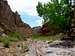The wash in Chute Canyon