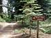 Mule Peak Road Sign