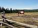 Cold Springs trailhead