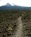 The trail thorugh the lava feilds