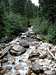 Stream by Red Pine Trail