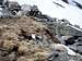 Mt. Dana ski trip on May 27,...