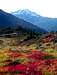 Mount Shuksan and Fall Colors