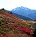 Mount Shuksan and Fall Colors 3