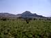 Gorongosa Summit Plateau