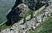 Alp Bernina cliffs