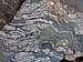 That is some Nice Gneiss