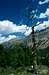Ova da Bernina valley