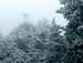 Foggy, Frosty Ridge