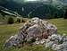 Lichen in the Dolomites