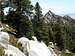 Cornell Peak (9,750') from Trail to San Jacinto Pk