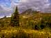 Grand Teton National Park Views.