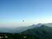 Swallows on summit Mt. Spina