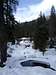 Frozen Creek, lodgepole. Seuioa N.P.